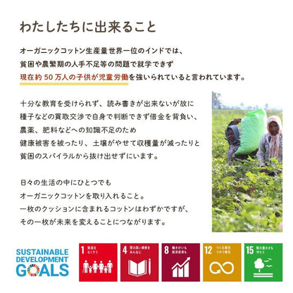 クッション 四角 厚い 持ち運び 日本製 オーガニックコットン 綿100% 無地 洗える 座布団 約40×40cm イエロー クララ(代引不可)
