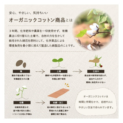 車用クッション カークッション クッション フリーシート オーガニックコットン 日本製 無地 シンプル 綿100% インド綿 ブルー 約43×118cm クララ(代引不可)