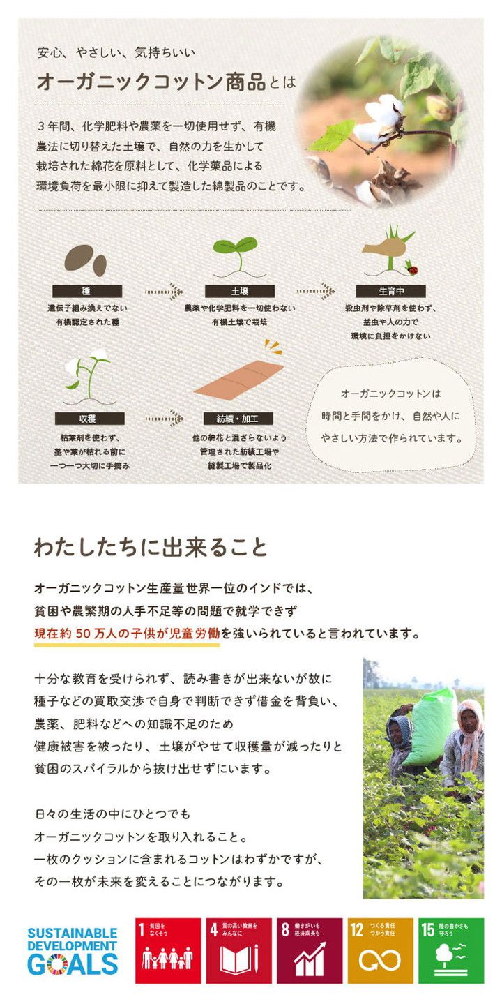クッション シート シートクッション 日本製 四角 オーガニックコットン 綿100% 無地 洗える リビング ダイニング チェア イス インテリア 北欧 かわいい 韓国インテリア おしゃれ(代引不可)