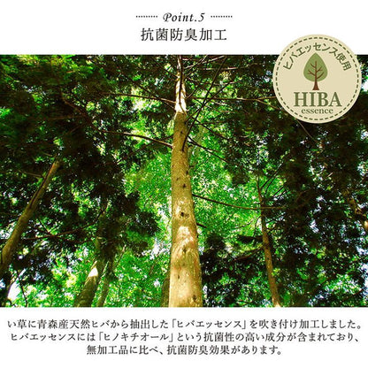 キッチンマット い草 自然素材 日本製 約60×120cm 国産 純国産 汚れにくい ウレタン カジュアル フルーツ キウイ レモン 抗菌 防臭 滑りにくい インテリア おしゃれ 北欧 オールシーズン(代引不可)