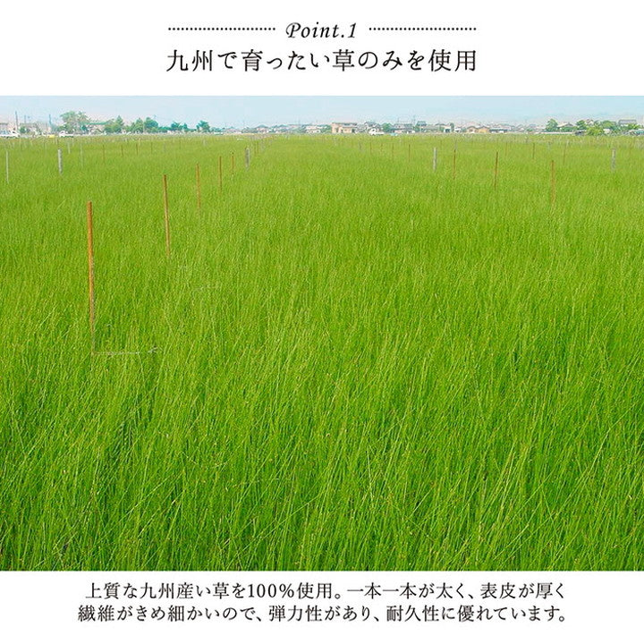 キッチンマット い草 自然素材 日本製 約60×180cm 国産 純国産 汚れにくい ウレタン カジュアル フルーツ キウイ レモン 抗菌 防臭 滑りにくい インテリア おしゃれ 北欧 オールシーズン(代引不可)