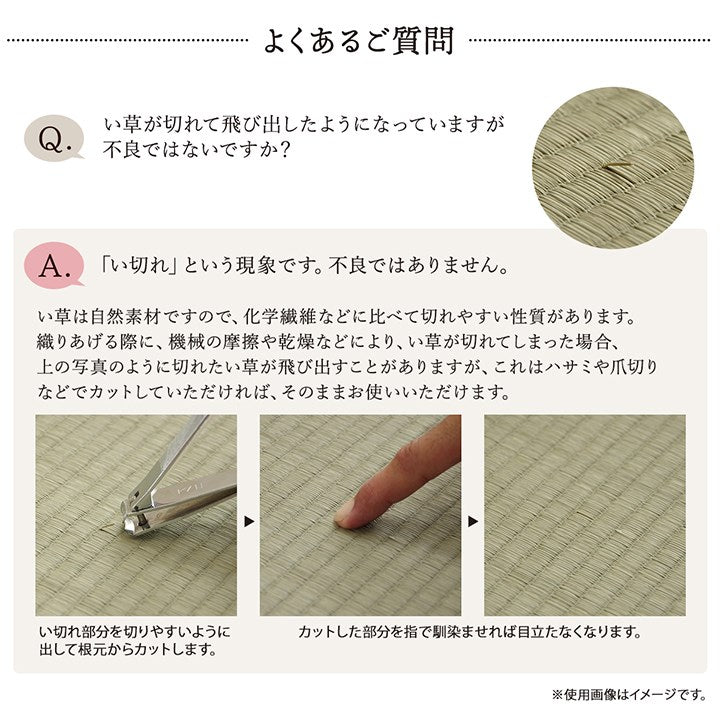 ラグ 江戸間1畳 約87×174cm 敷物 花ござ 国産 純国産 日本製 い草 掛川織 モダン 抗菌防臭 自然素材 カーペット 絨毯 じゅうたん マット インテリア おしゃれ 北欧 オールシーズン シンプル(代引不可)