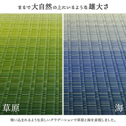ラグ 江戸間2畳 約174×174cm 敷物 花ござ 国産 純国産 日本製 い草 掛川織 モダン 抗菌防臭 自然素材 カーペット 絨毯 じゅうたん マット インテリア おしゃれ 北欧 オールシーズン シンプル(代引不可)