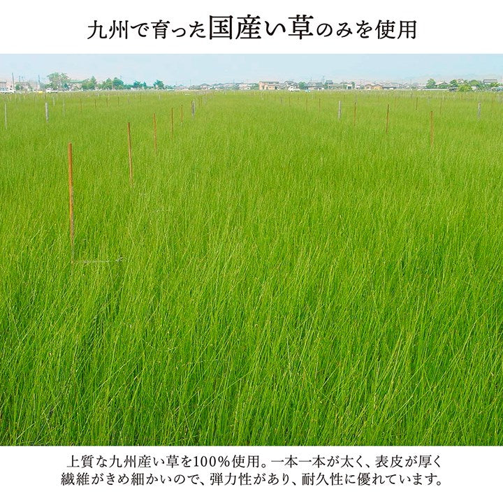 ラグ 江戸間3畳 約174×261cm 敷物 花ござ 国産 純国産 日本製 い草 掛川織 モダン 抗菌防臭 自然素材 カーペット 絨毯 じゅうたん マット インテリア おしゃれ 北欧 オールシーズン シンプル(代引不可)