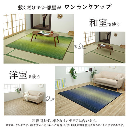 ラグ 江戸間6畳 約261×352cm 敷物 花ござ 国産 純国産 日本製 い草 掛川織 モダン 抗菌防臭 自然素材 カーペット 絨毯 じゅうたん マット インテリア おしゃれ 北欧 オールシーズン シンプル(代引不可)