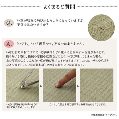 ラグ 江戸間6畳 約261×352cm 敷物 花ござ 国産 純国産 日本製 い草 掛川織 モダン 抗菌防臭 自然素材 カーペット 絨毯 じゅうたん マット インテリア おしゃれ 北欧 オールシーズン シンプル(代引不可)