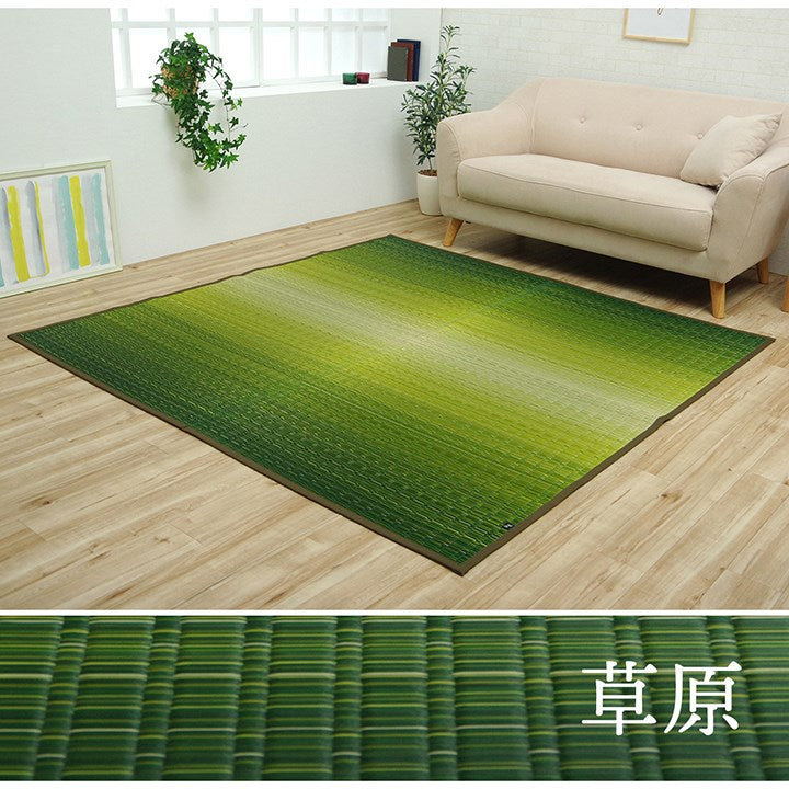 ラグ 江戸間6畳 約261×352cm 敷物 花ござ 国産 純国産 日本製 い草 掛川織 モダン 抗菌防臭 自然素材 カーペット 絨毯 じゅうたん マット インテリア おしゃれ 北欧 オールシーズン シンプル(代引不可)