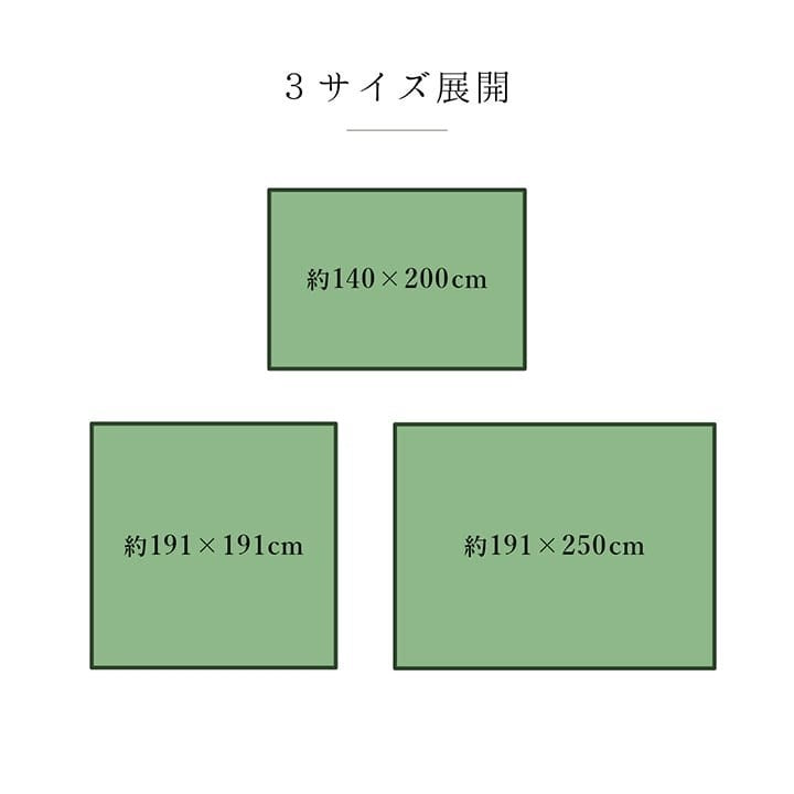 ラグ 純国産 国産 日本製 い草 抗菌防臭 自然素材 モダン 『DXカラフルブロック』 ブルー 約191×191cm カラフルブロック(代引不可)