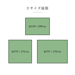 ラグ 純国産 国産 日本製 い草 抗菌防臭 自然素材 モダン 『DXカラフルブロック』 ブルー 約191×191cm カラフルブロック(代引不可)