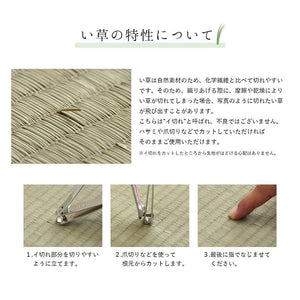 ラグ 純国産 国産 日本製 い草 抗菌防臭 自然素材 モダン 『DXカラフルブロック』 ブルー 約191×191cm カラフルブロック(代引不可)