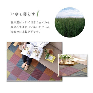 ラグ 純国産 国産 日本製 い草 抗菌防臭 自然素材 モダン 『DXカラフルブロック』 ブルー 約191×191cm カラフルブロック(代引不可)