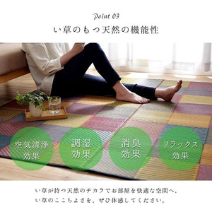 ラグ 純国産 国産 日本製 い草 抗菌防臭 自然素材 モダン 『DXカラフルブロック』 ブルー 約191×191cm カラフルブロック(代引不可)