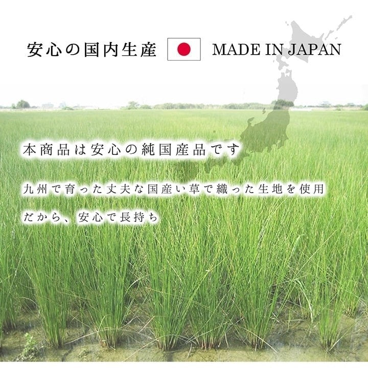 ラグ 純国産 国産 日本製 い草 抗菌防臭 自然素材 モダン 『DXカラフルブロック』 ブルー 約191×191cm カラフルブロック(代引不可)