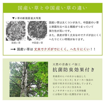 ラグ 純国産 国産 日本製 い草 抗菌防臭 自然素材 モダン 『DXカラフルブロック』 ブルー 約191×250cm カラフルブロック(代引不可)