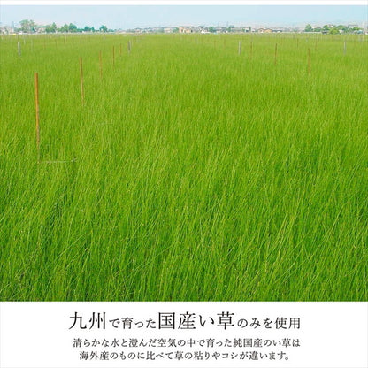 ラグ 正方形 約191×191cm い草 国産 日本製 ナチュラルスタイル 消臭 抗菌 防臭 滑り止め 防炎 市松 和室 洋室 クッション性 コンパクト 省スペース インテリア オールシーズン 北欧 おしゃれ 新生活(代引不可)