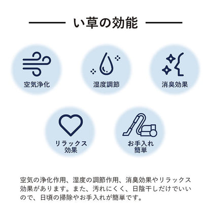 ラグ 長方形 い草 日本製 国産 自然素材 滑り止め加工 ナチュラル 市松柄 オールシーズン 消臭 シンプル 約140×200cm ホットカーペット対応 床暖房対応 プレーン(代引不可)