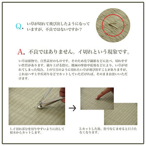 ラグ 長方形 い草 日本製 国産 自然素材 滑り止め加工 ナチュラル 市松柄 オールシーズン 消臭 シンプル 約140×200cm ホットカーペット対応 床暖房対応 プレーン(代引不可)