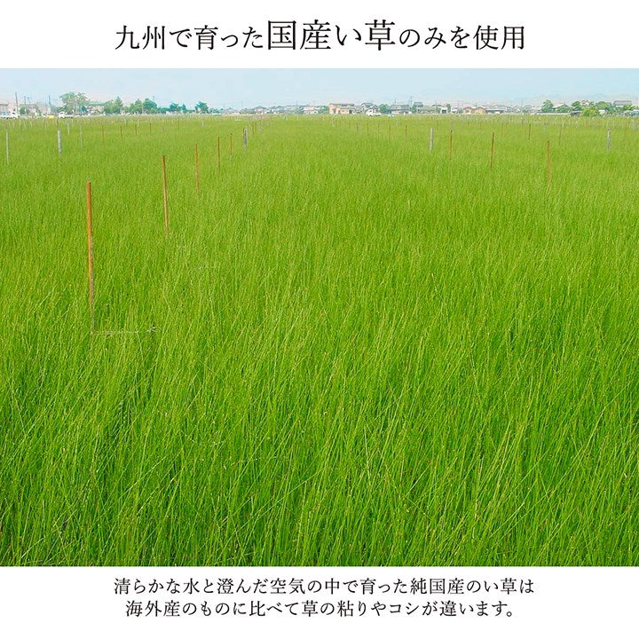 カーペット 約80×240cm 廊下 敷 敷き 国産 純国産 日本製 い草 抗菌防臭 モダン 自然素材 不織布 ラグ 絨毯 じゅうたん インテリア 北欧 おしゃれ オールシーズン 新生活 シンプル(代引不可)