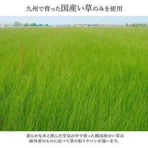 い草ラグ ランクス 191×250cm ラグ マット 国産 純国産 日本製 い草 モダン 抗菌防臭 自然素材 涼感 和室 洋室 ヒバ 抗菌 防臭 フローリング オールシーズン ラグマット 絨毯 じゅうたん イ草(代引不可)