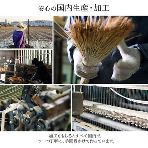 い草ラグ ランクス 191×250cm ラグ マット 国産 純国産 日本製 い草 モダン 抗菌防臭 自然素材 涼感 和室 洋室 ヒバ 抗菌 防臭 フローリング オールシーズン ラグマット 絨毯 じゅうたん イ草(代引不可)