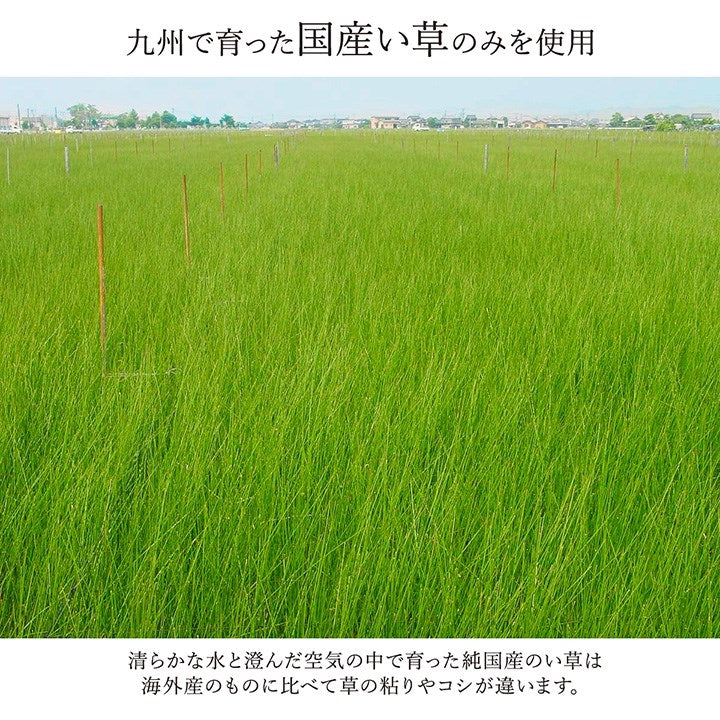 い草ラグ ランクス 191×300cm ラグ マット 国産 純国産 日本製 い草 モダン 抗菌防臭 自然素材 涼感 和室 洋室 ヒバ 抗菌 防臭 フローリング オールシーズン ラグマット 絨毯 じゅうたん イ草(代引不可)