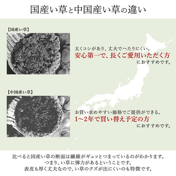 い草ラグ ランクス 191×300cm ラグ マット 国産 純国産 日本製 い草 モダン 抗菌防臭 自然素材 涼感 和室 洋室 ヒバ 抗菌 防臭 フローリング オールシーズン ラグマット 絨毯 じゅうたん イ草(代引不可)