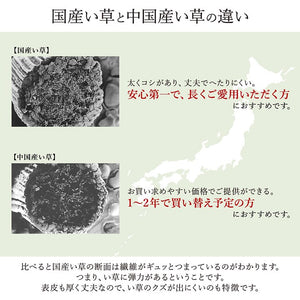 い草ラグ ランクス 191×300cm ラグ マット 国産 純国産 日本製 い草 モダン 抗菌防臭 自然素材 涼感 和室 洋室 ヒバ 抗菌 防臭 フローリング オールシーズン ラグマット 絨毯 じゅうたん イ草(代引不可)