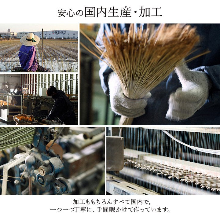 い草ラグ ランクス 191×300cm ラグ マット 国産 純国産 日本製 い草 モダン 抗菌防臭 自然素材 涼感 和室 洋室 ヒバ 抗菌 防臭 フローリング オールシーズン ラグマット 絨毯 じゅうたん イ草(代引不可)
