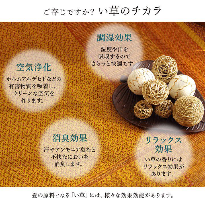 い草ラグ ランクス 191×300cm ラグ マット 国産 純国産 日本製 い草 モダン 抗菌防臭 自然素材 涼感 和室 洋室 ヒバ 抗菌 防臭 フローリング オールシーズン ラグマット 絨毯 じゅうたん イ草(代引不可)