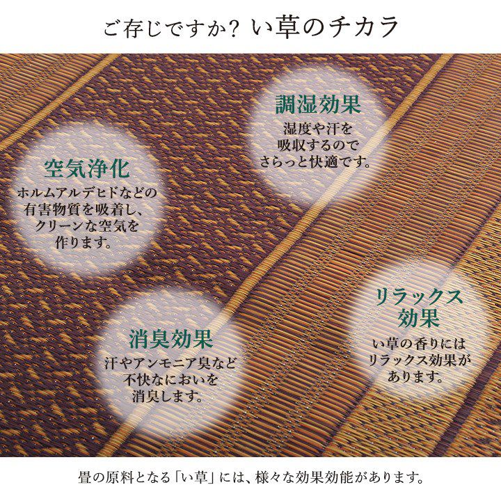 カーペット 約80×340cm 廊下 敷 敷き 国産 純国産 日本製 い草 抗菌防臭 モダン 自然素材 不織布 ラグ 絨毯 じゅうたん インテリア 北欧 おしゃれ オールシーズン 新生活 シンプル(代引不可)