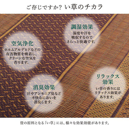 カーペット 約80×340cm 廊下 敷 敷き 国産 純国産 日本製 い草 抗菌防臭 モダン 自然素材 不織布 ラグ 絨毯 じゅうたん インテリア 北欧 おしゃれ オールシーズン 新生活 シンプル(代引不可)