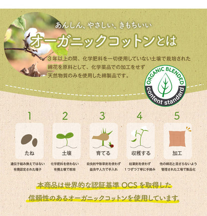 オーガニックコットン 多機能クッション 洗える 寄りかかり 日本製 綿100% チェック 背もたれ 約60×35×25cm おしゃれ かわいい 三角クッション スマホ ゲーム ゲーミング エミリー(代引不可)