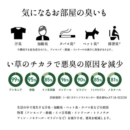 ユニット畳 日本製 い草 フレア マットレス 120×210cm セミシングル 吸着シートセット 抗菌防臭 吸放湿性 防音 井草 イグサ 国産 軽量 こたつ ぴったり 滑り止めシート(代引不可)