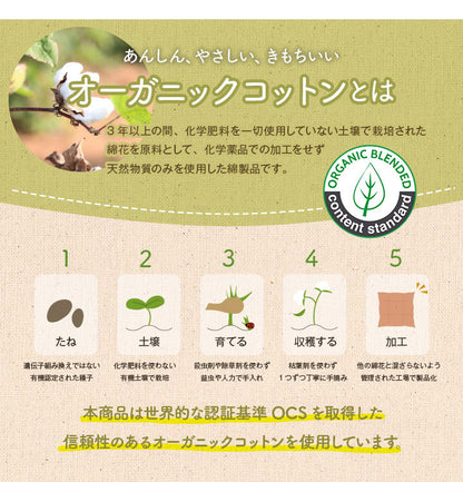 オーガニックコットン シートクッション 円形 円座 穴あき 洗える 日本製 綿100% ボーダー 約35cm丸 おしゃれ かわいい マタニティ 妊婦 ママ ギフト プレゼント フロー(代引不可)