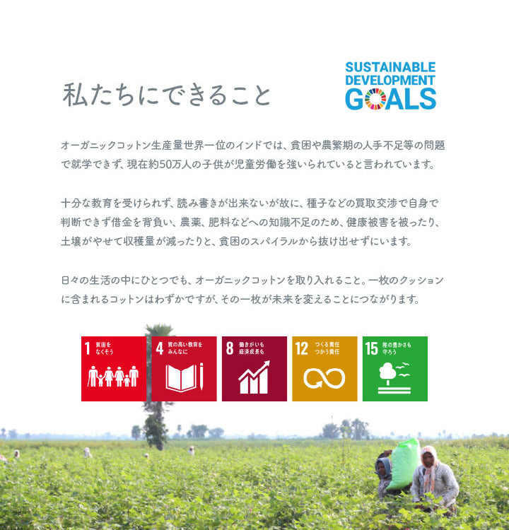 オーガニックコットン 多機能クッション 洗える 寄りかかり 日本製 綿100% ボーダー 背もたれ 約55×35×25cm おしゃれ かわいい 三角クッション スマホ ゲーム ゲーミング フロー(代引不可)