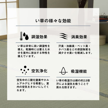 い草 上敷き カーペット 江戸間2畳 約176×176cm 制菌 抗菌防臭 消臭 小林製薬KOBA-GUARD ラグ マット インテリア 和モダン シンプル 北欧 おしゃれ オールシーズン リビング ラグマット(代引不可)