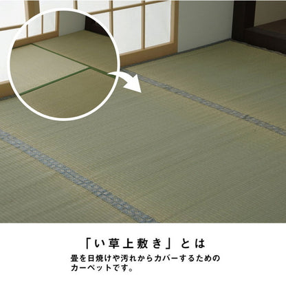 い草 上敷き カーペット 江戸間8畳 約352×352cm 制菌 抗菌防臭 消臭 小林製薬KOBA-GUARD ラグ マット インテリア 和モダン シンプル 北欧 おしゃれ オールシーズン リビング ラグマット(代引不可)