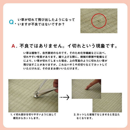 い草 上敷き カーペット 江戸間8畳 約352×352cm 制菌 抗菌防臭 消臭 小林製薬KOBA-GUARD ラグ マット インテリア 和モダン シンプル 北欧 おしゃれ オールシーズン リビング ラグマット(代引不可)