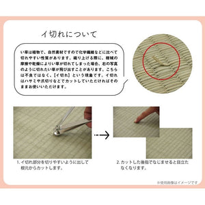 クッション くつろぎ ごろごろ い草 抗菌防臭 消臭 シンプル 小林製薬コバガード使用 約48×90cm ブラウン クリア(代引不可)