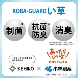 クッション くつろぎ ごろごろ い草 抗菌防臭 消臭 シンプル 小林製薬コバガード使用 約48×90cm ブラウン クリア(代引不可)