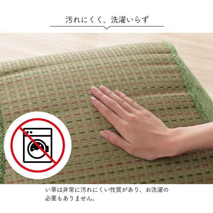 クッション くつろぎ ごろごろ い草 抗菌防臭 消臭 シンプル 小林製薬コバガード使用 約48×90cm ブラウン クリア(代引不可)