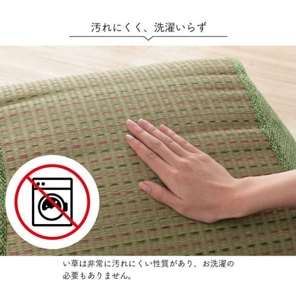 クッション くつろぎ ごろごろ い草 抗菌防臭 消臭 シンプル 小林製薬コバガード使用 約48×90cm ブラウン クリア(代引不可)