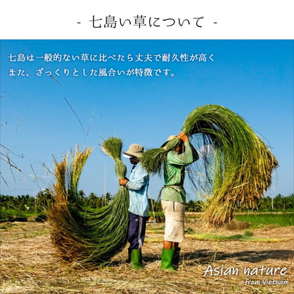 草履 サンダル M L 日本製 い草 痛くない レディース 軽量 おしゃれ 可愛い かわいい スリッパ 部屋履き 大きい 小さい ギフト プレゼント(代引不可)