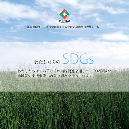 い草 リース 雑貨 飾り 消臭効果 リラックス効果 アレンジ 約20cm丸 かわいい おしゃれ(代引不可)