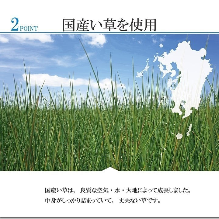 敷物 花ござ 国産 純国産 日本製 小林製薬 持続性抗菌剤 KOBA-GUARD 制菌 抗菌防臭 夏 い草 市松 モダン 滑り止め 不織布 グリーン 江戸間3畳 約174×261cm ラウム(代引不可)