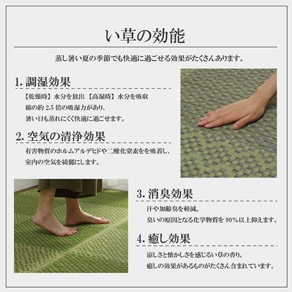 敷物 花ござ 国産 純国産 日本製 小林製薬 持続性抗菌剤 KOBA-GUARD 制菌 抗菌防臭 夏 い草 市松 モダン 滑り止め 不織布 グリーン 江戸間3畳 約174×261cm ラウム(代引不可)