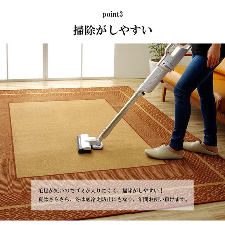 ダイニングラグ イブル 約220×300cm 撥水 長方形 ラグ カーペット シンプル キズ防止 インテリア おしゃれ かわいい 北欧 オールシーズン シンプル リビング(代引不可)