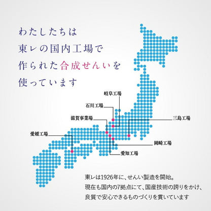 布団3点セット シングル 寝具 日本製 東レ テトロン綿 マッシュロン綿 掛け敷き枕3点セット 快適 便利 保温性 かさ高性 国産 寝具 インテリア おしゃれ オールシーズン 布団セット 寝具セット(代引不可)