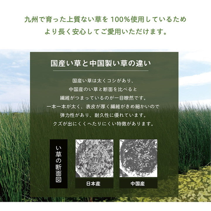 い草 枕 まくら日本製 高さ調節可能 50×30cm インテリア かわいい おしゃれ 寝具 国産 い草 ギフト 箱付き 男性向け 抗菌防臭 消臭 プレゼント 父の日 母の日 ギフト くぼみ平枕 頸椎安定(代引不可)