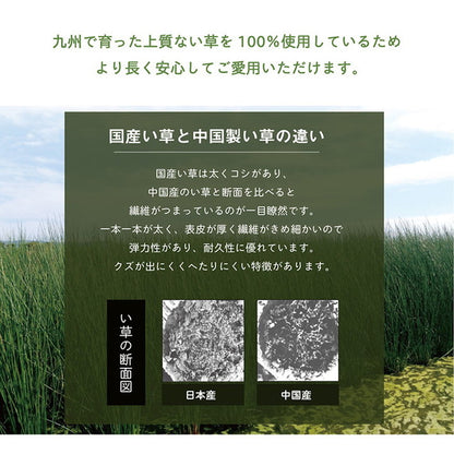 い草 枕 まくら日本製 高さ調節可能 50×30cm インテリア かわいい おしゃれ 寝具 国産 い草 ギフト 箱付き 男性向け 抗菌防臭 消臭 プレゼント 父の日 母の日 ギフト くぼみ平枕 頸椎安定(代引不可)